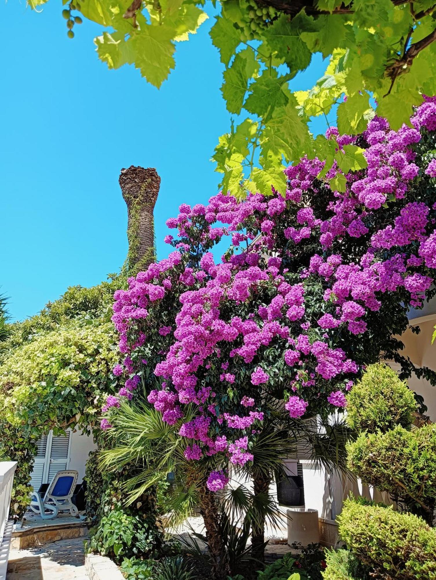 Villa Aspalathos Kaštela Exterior foto